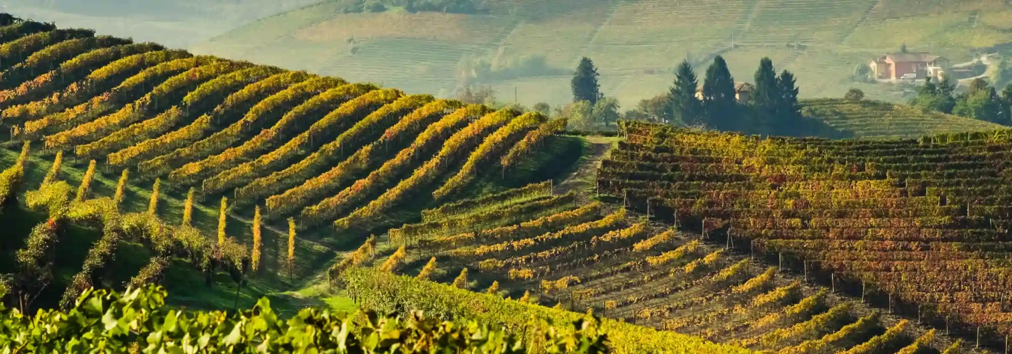 bg-piemonte